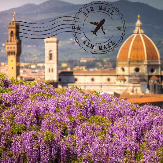 A Postcard from Florence.  Exploring  Gardens, Events, and Free Museums.